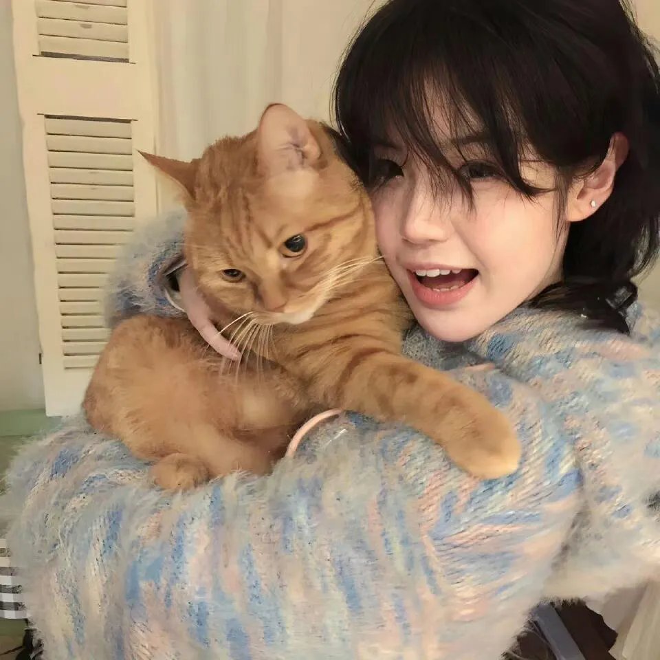 功夫熊猫感恩节特辑